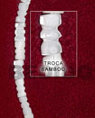 Troca Shell Beads Necklace