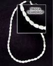 Natural Troca Shell Beads In Strands Or Necklace