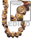 Natural Everlasting Luhuanus Shells In Beads Strands Or