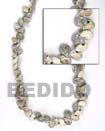 Natural Bonium Gray Shells In Beads BFJ033SPS Shell Beads Shell Jewelry Shell Beads