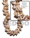 Natural Nassa Tiger Shell Sidedrill BFJ041SPS Shell Beads Shell Jewelry Shell Beads