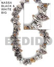 Natural ( Big ) Nassa Shell In Black BFJ042SPS Shell Beads Shell Jewelry Shell Beads