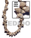 Natural Frog Shell Beads In Strands Or Necklace