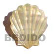 Natural mother of pearl Shell Design Brooch BFJ004BP Shell Beads Shell Jewelry Brooch