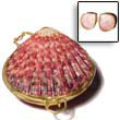 Natural Piktin Shell Coin Purse - BFJ005CP Shell Beads Shell Jewelry Shell Coin Purse