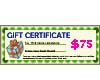 Natural Gift Certificate Worth $75 GIFT75 Shell Beads Shell Jewelry Gift Certificates Vouchers