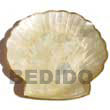 Natural Capiz Clam Shaped Plate 8x8 BFJ011GD Shell Beads Shell Jewelry Capiz Shell Gifts And Decor Set