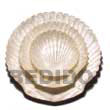 Natural Capiz King Scallop Shell BFJ027GD Shell Beads Shell Jewelry Capiz Shell Gifts And Decor Set