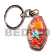 Natural Cowri Shell With Laminated Seashell Keychain