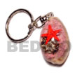 Natural Cowri Shell With Laminated Seashell Keychain