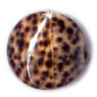 Natural Round Tiger Cowrie 40mm Pendants