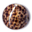 Natural Round Tiger Cowrie 40mm BFJ5077P Shell Beads Shell Jewelry Shell Pendant