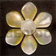 Natural Flower mother of pearl   hammer shell BFJ5232P Shell Beads Shell Jewelry Shell Pendant