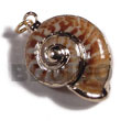 Natural Land Snail (approx. 30mm BFJ6271P Shell Beads Shell Jewelry Shell Pendant
