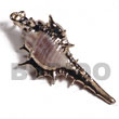 Natural Koriosos Family Shell BFJ6308P Shell Beads Shell Jewelry Shell Pendant