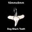 Natural Dog Shark Teeth Pendant BFJ5002P Shell Beads Shell Jewelry Bone Pendants