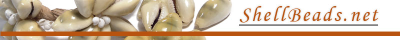 Shell Beads Shell Jewelry